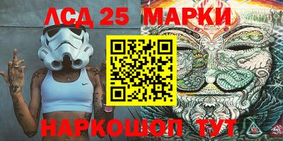 гидропоника Славгород
