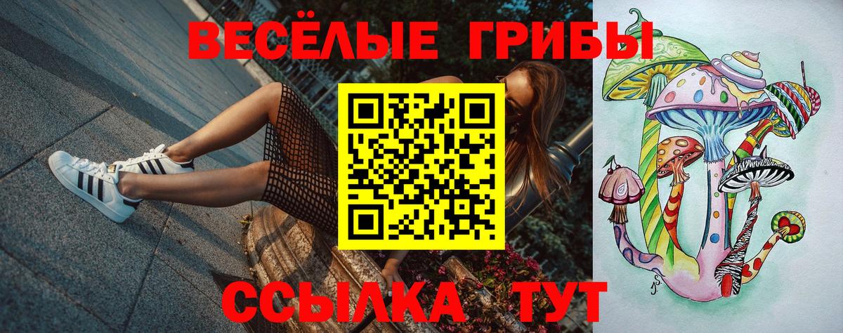 Нарткала  Галлюциногенные грибы Magic Shrooms  Вход с VPN  Псилоцибиновые грибы Magic Shrooms 