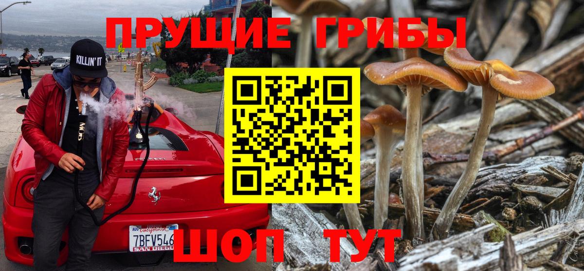 Галлюциногенные грибы ЛСД Нарткала